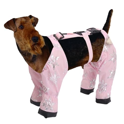 Hundepfoten-Leggings – Hundepfoten-Schuhe, schützende Pfotenschutzstiefel, Allwetter-Hundehose, weiche Hundestiefel und Pfotenschutz, Hundesocken für kleine, mittelgroße und große Hunde von Generisch