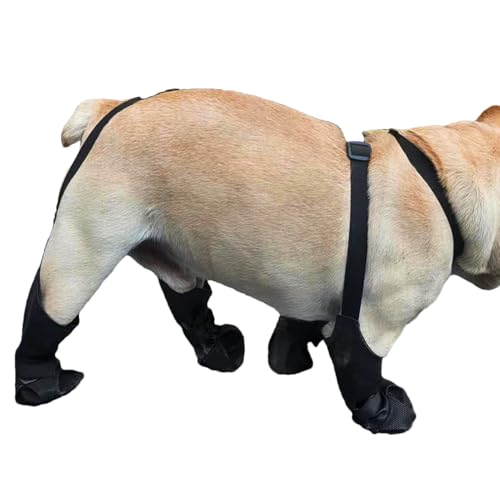 Hundeschuhe | Verstellbare Hundestiefel Für Haustiere - Wasserdichter Schmutzabweisender Pfotenschutz Für Alle Größen Outdoor Spaziergänge Wandern Reisen Hundeschuhe | Verstellbare Hundestiefel Für Haustiere - Wasserdichter Schmutzabweisender Pfotenschutz Für Alle Größen Outdoor Spaziergänge Wandern Reisen von Generisch