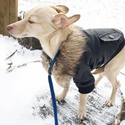 Hundeschwimmanzug Stilvoller Wintermantel für Hunde: Lederjacke mit Kunstkragen für ultimative Wärme und Mode, perfekt für Abenteuer bei kaltem Wetter (A, XXL) von Generisch