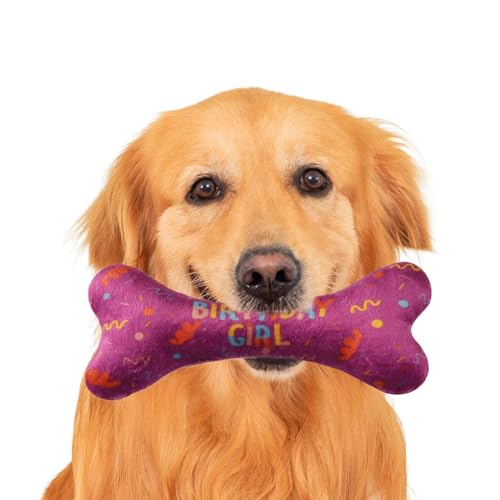 Hundetuch - Dreieckige Geburtstagshalsbänder Für Hunde Mit Knochenmuster Spielzeug Für Haustiere | Weicher Dreieckschal Süße Knochen Verstellbares Zubehör Für Kleine Mittelgroße Hunde Festtage Hundetuch - Dreieckige Geburtstagshalsbänder Für Hunde Mit Knochenmuster Spielzeug Für Haustiere | Weicher Dreieckschal Süße Knochen Verstellbares Zubehör Für Kleine Mittelgroße Hunde Festtage von Generisch