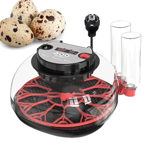 Inkubator für Hühnereier, Inkubator mit Eierschlüpfen | Automatische Temperaturregelung 12 Ei -Inkubator - Kultivierungsausrüstung mit klarem Deckel, LED -Beleuchtungsdesign für Hühnchen, Tauben, Wa Inkubator für Hühnereier, Inkubator mit Eierschlüpfen | Automatische Temperaturregelung 12 Ei -Inkubator - Kultivierungsausrüstung mit klarem Deckel, LED -Beleuchtungsdesign für Hühnchen, Tauben, Wa von Generisch