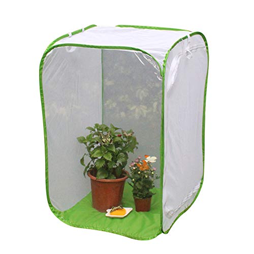 Insect and Butterfly Net - Portable Folding Terrarium Pop-Up Cage for Kids, Ideal for Outdoor Exploration, Butterfly Catching, and Insect Observation von Generisch