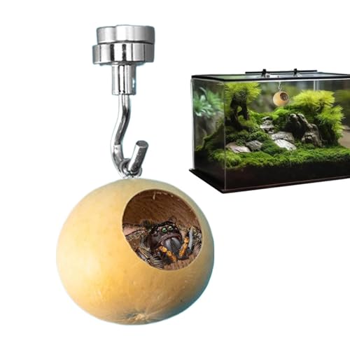 Jumping Spider House | Jumping Spider Hiding Nest | Natural Gourds Spider Enclosure | Jumping Spider Enclosure with Magnetism | Spider Enclosure Accessories | Jumping Spider Use for Decor von Generisch