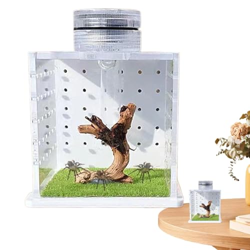 Jumping Spider Terrarium, 8x6.5x6.5cm, Transparent Turtle Tank, Small Praying Mantis Habitat, Breeding Box with Light & Humidifier for Small Tree Dwelling Reptiles, Clear von Generisch