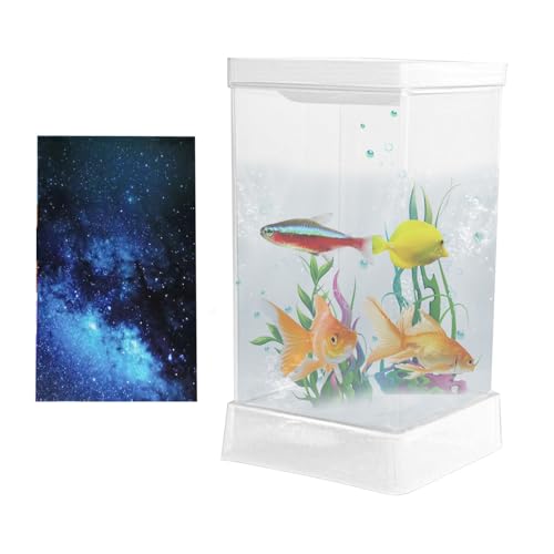 Kampffisch Aquarium, Kampffisch Aquarium Mit LED-Beleuchtung & Filter Für Schreibtisch, Wohnaccessoires, Deko-Aquarium Für Wohnzimmer, Büro & Wohnung Kampffisch Aquarium, Kampffisch Aquarium Mit LED-Beleuchtung & Filter Für Schreibtisch, Wohnaccessoires, Deko-Aquarium Für Wohnzimmer, Büro & Wohnung von Generisch