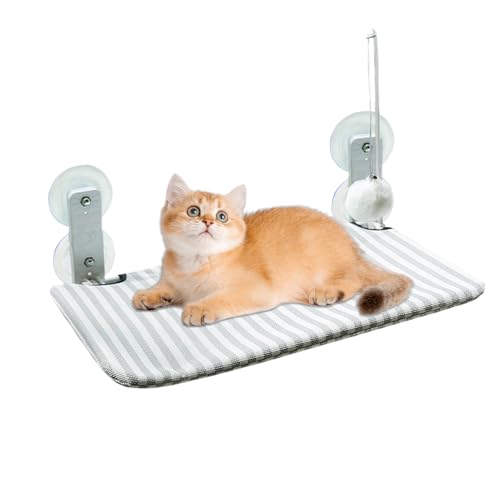 Katzen Fensterbank | Katzen Hängematte Mit Starken Saugnäpfen - Mit Kissen Für Kätzchen Balkon Terrasse Zimmer Saugnapf Befestigung Drinnen Und Draußen Katzen Fensterbank | Katzen Hängematte Mit Starken Saugnäpfen - Mit Kissen Für Kätzchen Balkon Terrasse Zimmer Saugnapf Befestigung Drinnen Und Draußen von Generisch