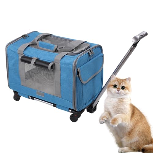 Katzen-Reisetasche, Hundetragetasche, Organizer, Tragetuch für kleine Hunde und Katzen mit Rollen, von Fluggesellschaften zugelassene Haustier-Tragetasche mit Sicherheitsreißverschluss, Katzenkisten von Generisch