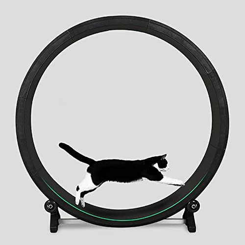 Katzen-Trainingsrad Laufband für Ihre Indoor-Katze - Haustier-Laufmaschine Silent Cat Laufband - Ultimatives Katzenspielzeug für kleine/mittelgroße Katzen - Katzen-Fitness-Sportspielzeug von Generisch