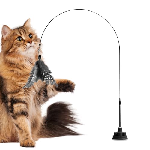 Katzenangel | Federangel Mit Glöckchen,Unzerstörbares Interaktives Kätzchenspielzeug Mit Saugnapf Zur Beschäftigung Gegen Langeweile Katzenangel | Federangel Mit Glöckchen,Unzerstörbares Interaktives Kätzchenspielzeug Mit Saugnapf Zur Beschäftigung Gegen Langeweile von Generisch