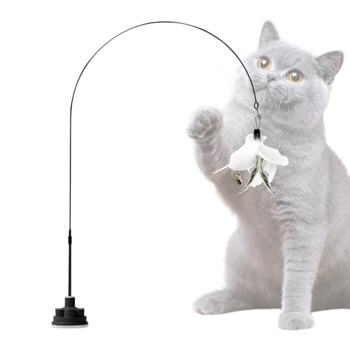 Katzenangel Spielzeug | Federstab Mit Glocke,Interaktives Katzen Spielzeug Mit Saugnapf Für Drinnen & Draußen Katzenangel Spielzeug | Federstab Mit Glocke,Interaktives Katzen Spielzeug Mit Saugnapf Für Drinnen & Draußen von Generisch