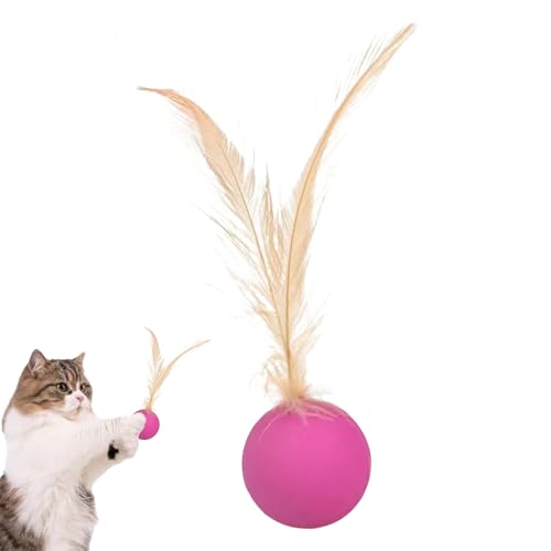 Katzenballspielzeug, Katzenspielzeugkugeln | Rolling Chasing Toy - Sensorische Stimulationskatze mit Feder für Kätzchen Training Jagd in Indoor Outdoor Spiele Langeweile Relief Katzenballspielzeug, Katzenspielzeugkugeln | Rolling Chasing Toy - Sensorische Stimulationskatze mit Feder für Kätzchen Training Jagd in Indoor Outdoor Spiele Langeweile Relief von Generisch