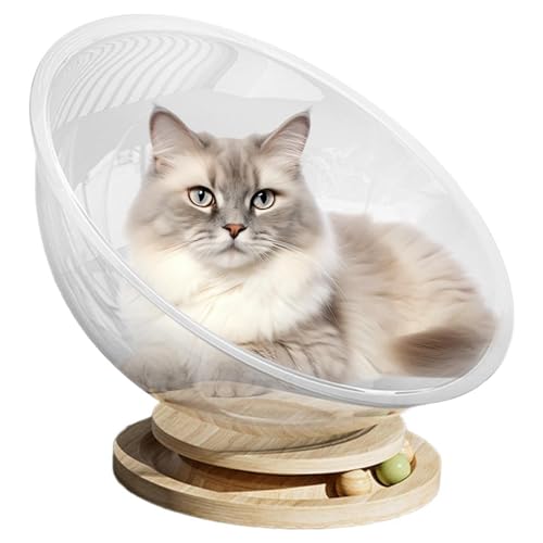 Katzencouch, süßes Katzenbett | Niedlicher Space Cat Barsch | Transparentes Katzenhaus-Set, Katzenmöbel, Haustierbedarf, leicht zu reinigendes, stabiles Aktivitätszentrum, Platz-Katzenbett zum Schlafe Katzencouch, süßes Katzenbett | Niedlicher Space Cat Barsch | Transparentes Katzenhaus-Set, Katzenmöbel, Haustierbedarf, leicht zu reinigendes, stabiles Aktivitätszentrum, Platz-Katzenbett zum Schlafe von Generisch
