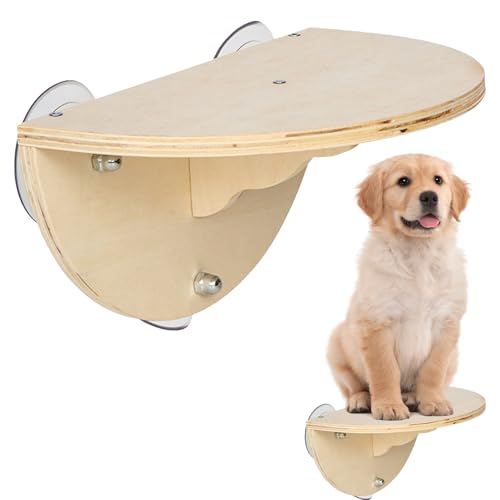 Katzenfenstersitz | Holz-Kätzchen-Fenstersitz, Katzenregal, Bett, Klettersitz mit 3 Saugnäpfen, Wandmontage, für Indoor-Katzen Katzenfenstersitz | Holz-Kätzchen-Fenstersitz, Katzenregal, Bett, Klettersitz mit 3 Saugnäpfen, Wandmontage, für Indoor-Katzen von Generisch