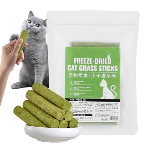 Katzengras-Leckereien,Katzengras-Snacks | 8 Sticks Haarballen-Entfernungsstift | Gefriergetrocknete Beißstangen für Katzen, aromatisierte Snack-Leckereien für Katzen, um die Katze energiegeladen zu ha von Generisch