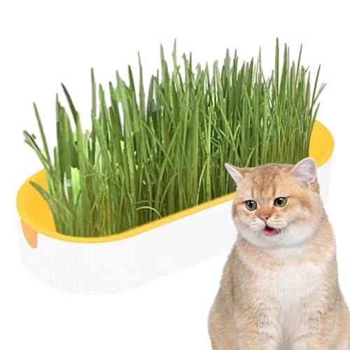 Katzengras Pflanzkasten, Katzengras Anzuchtset, Katzengras Pflanzgefäß, Katzenminze Katzengras Box, Kauen Kätzchen, Gras Pflanze Anzuchtset für Katzen Snacks, Erde Katze Snacks für Verdauung, von Generisch