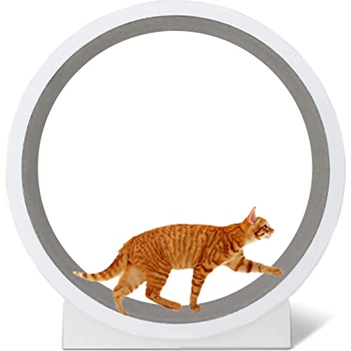 Katzenlaufband Automatisches Interaktives Katzenspielzeug - Indoor Katzenlaufrad für Übung, Spinning, Kratzen, Klettern - Geräuscharmes Katzenrißrad von Generisch