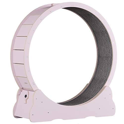 Katzenlaufrad - Indoor Laufband für kleine Haustiere, Fitness & Gewichtsverlust Gerät, Katzenlaufrad, Interaktives Haustierspielzeug, Perfekt für Indoor-Spielen und Aktivität Katzenlaufrad - Indoor Laufband für kleine Haustiere, Fitness & Gewichtsverlust Gerät, Katzenlaufrad, Interaktives Haustierspielzeug, Perfekt für Indoor-Spielen und Aktivität von Generisch