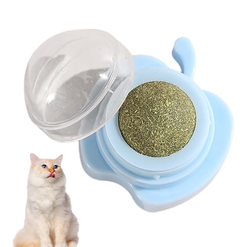 Katzenminze Ball Halterung - Zahnreinigung Katze Biss Spielzeug - Katze Wand Dekoration, Kätzchen Spielen Kauen Reinigung Zähne Spielzeug Katzenminze Katzenleckereien Katzenminze Bälle für Katzen Wand Katzenminze Ball Halterung - Zahnreinigung Katze Biss Spielzeug - Katze Wand Dekoration, Kätzchen Spielen Kauen Reinigung Zähne Spielzeug Katzenminze Katzenleckereien Katzenminze Bälle für Katzen Wand von Generisch