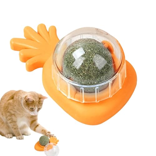 Katzenminze Wandball - Katzenminze Bälle für Katzen Wand | Essbares Katzenleckspielzeug, Katzenminzen Bio Katzenspielzeug, Rotierendes Kätzchen Essbares Spielzeug für Katzen Lecken, Sicheres Gesundes von Generisch