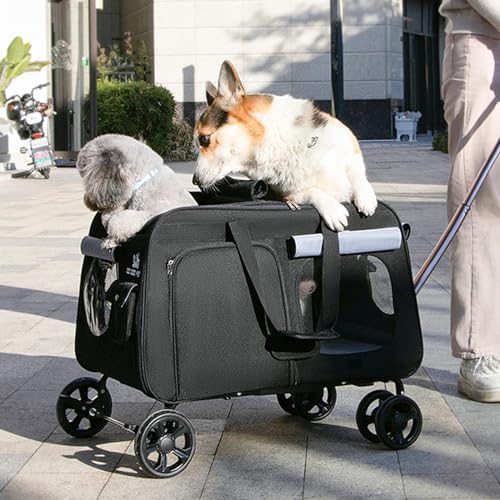 Katzentrage mit Rollen für große Katzen, erweiterbar, rollende Haustiertragetasche für 2 Katzen oder 1 mittelgroße Hunde, Haustier-Tragetasche, mit Rollen und Teleskopgriff für Tierarztbesuche Katzentrage mit Rollen für große Katzen, erweiterbar, rollende Haustiertragetasche für 2 Katzen oder 1 mittelgroße Hunde, Haustier-Tragetasche, mit Rollen und Teleskopgriff für Tierarztbesuche von Generisch