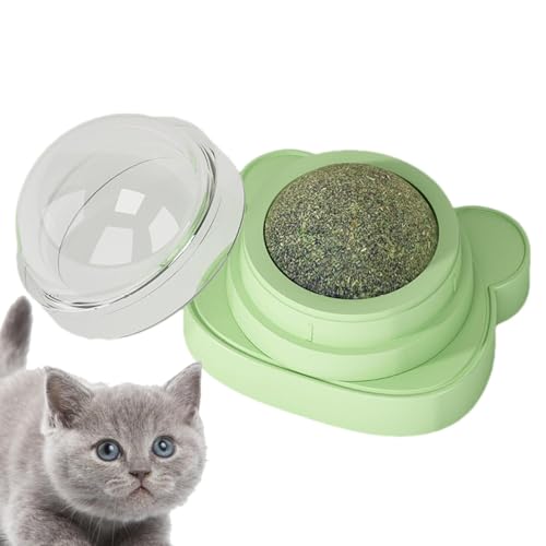 Kitty Katzenminze-Wandspielzeug, drehbares Kätzchen-Wandspielzeug, Katzenminze-Bälle – drehbares Indoor-Katzenspielzeug für kleine, mittelgroße und große Katzen, Kätzchen von Generisch