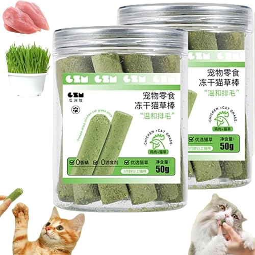 Kittygreen Sticks, Kittygreen Cat Grass Teething Sticks for Indoor Cats, Berdexa Stick, Cat Grass Chew Stick, Cat Grass Sticks for Indoor Cats, Molar Rod Cat Toy Teeth Cleaner (2Bucket(20pcs)) von Generisch