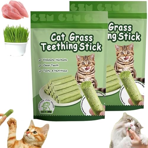 Kittygreen Sticks, Kittygreen Cat Grass Teething Sticks for Indoor Cats, Berdexa Stick, Cat Grass Chew Stick, Cat Grass Sticks for Indoor Cats, Molar Rod Cat Toy Teeth Cleaner (2Pack(12pcs)) von Generisch