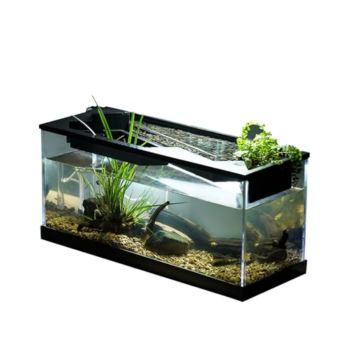 Kleines Aquarium, Acryl, transparentes Schreibtisch-Aquarium mit Filter, Schildkröten-Habitat-Fischschale mit Fahrradsystem für Zuhause, Studio, Tischplatte von Generisch