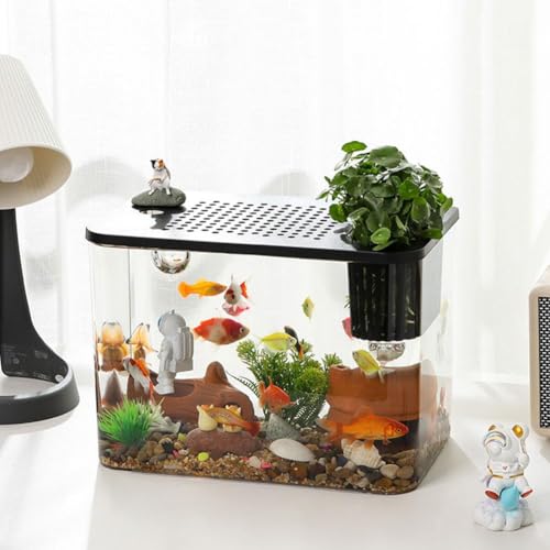 Kleines Aquarium, Kunststoff, transparent, Mikro-Landschaft, Desktop-Aquarium, Betta, Mini-Fischschale, leicht zu pflegen, kleines Aquarium für Betta/Goldfisch/Schnecken/Garnelen und Wasserpflanzen von Generisch