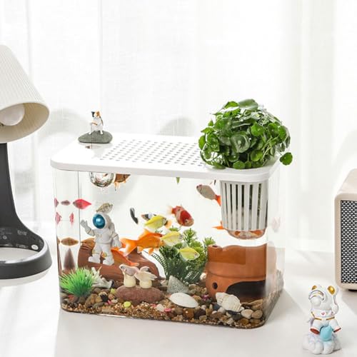 Kleines Aquarium, Kunststoff, transparent, Mikro-Landschaft, Desktop-Aquarium, Betta, Mini-Fischschale, leicht zu pflegen, kleines Aquarium für Betta/Goldfisch/Schnecken/Garnelen und Wasserpflanzen von Generisch