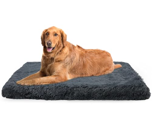 Kleines Hundebett – waschbare Matratze mit rutschfester Unterseite für Komfort und Unterstützung, ideal für den Innenbereich und Kisten Kleines Hundebett – waschbare Matratze mit rutschfester Unterseite für Komfort und Unterstützung, ideal für den Innenbereich und Kisten von Generisch
