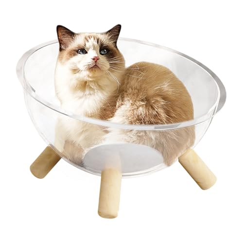 Kleines Katzenbett | Katzen Nest Mit Holzgestell,Transparentes Acryl-Kuppelhaus Für Kleintiere – Schlafplatz Für Katzenwelpen, & Kleintiere Kleines Katzenbett | Katzen Nest Mit Holzgestell,Transparentes Acryl-Kuppelhaus Für Kleintiere – Schlafplatz Für Katzenwelpen, & Kleintiere von Generisch