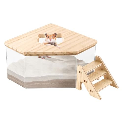 Kleintier-Toilette, Haustier-Badesand, Hamster-Badesandbehälter, Arbeitszimmer, Hamster-Sandkasten, dekorative Hamster-Sandbox, perfekt und geeignet für kleine Haustiere von Generisch