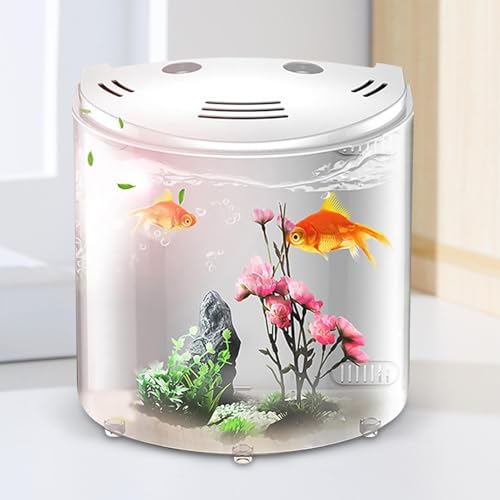 Komplettes Aquarium mit Beleuchtung – Aquarium für Tischfische | transparenter Behälter für Aquarium mit Wasserpumpe | Transparentes Fischaquarium für Schnecken | kleine Krabben, von Generisch