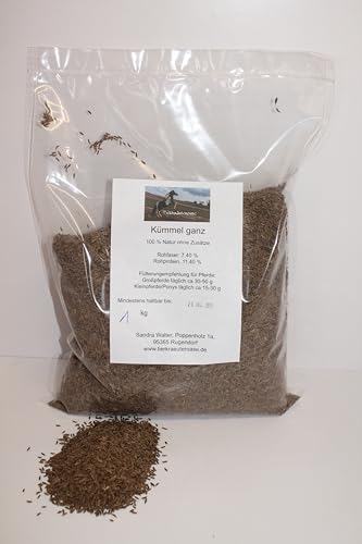 Kümmel Samen 1kg, Pferd, Pony, Verdauung von Generisch