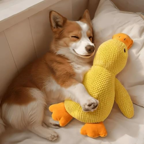 Kuscheltier Ente, Quack-Quack Duck Dog Toy, Beruhigende Ente Für Hunde, Ente Squeak Für Welpen, Beruhigende Ente Für Hunde, Beruhigendes Enten-Hundespielzeug, Niedliche Ente Ohne Füllung (M) von Generisch