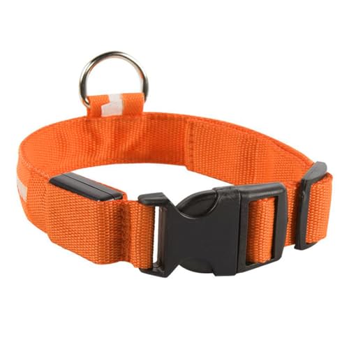LED-Halsband für Hunde, Seidennetz, Nylon, leuchtendes kleines Halsband, wasserabweisend, leuchtet im Dunkeln LED-Halsband für Hunde, Seidennetz, Nylon, leuchtendes kleines Halsband, wasserabweisend, leuchtet im Dunkeln von Generisch