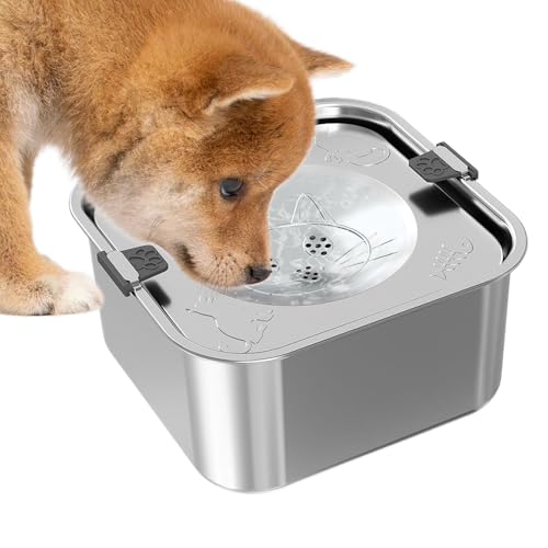 Langsam Trinknapf Für Hunde,3L Edelstahl Tropfsicherer Wassernapf Für Hunde - Großes Futter- Und Wassergeschirr Für Haustiere: Haushalt Garten Camping Reisen Zwinger Terrasse Langsam Trinknapf Für Hunde,3L Edelstahl Tropfsicherer Wassernapf Für Hunde - Großes Futter- Und Wassergeschirr Für Haustiere: Haushalt Garten Camping Reisen Zwinger Terrasse von Generisch