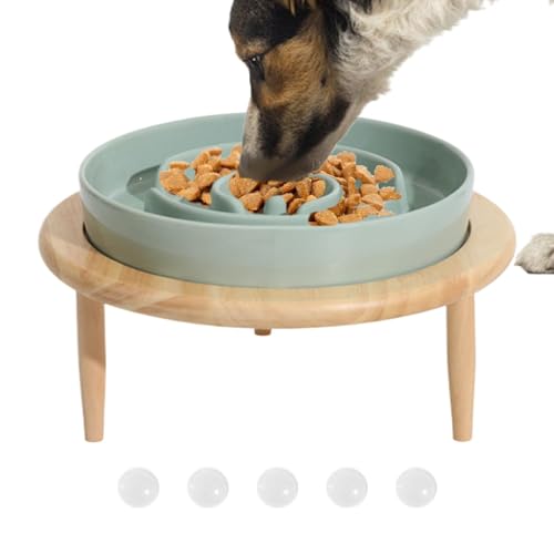 Langsamer Futternapf für Hunde, Langsamer Futternapf für Hunde | Anti-Rutsch-Hundenäpfe aus Keramik zum Füttern mit erhöhtem Boden - Multifunktionaler Slow Feeder Indoor-Haustier-Entspannungsspielzeug von Generisch