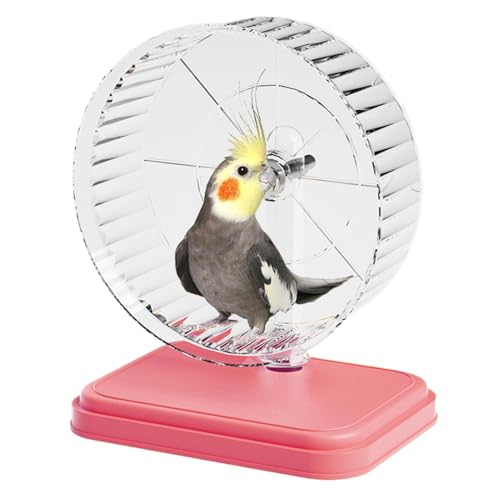 Laufrad für Hamster, geräuschloses Tier-Übungsrad, 17 cm, bezaubernd, leise, körperliche Aktivität, Laufräder, doppeltes Lager, Haustier, Kleintiere, Bewegungsspielzeug für Hamster Laufrad für Hamster, geräuschloses Tier-Übungsrad, 17 cm, bezaubernd, leise, körperliche Aktivität, Laufräder, doppeltes Lager, Haustier, Kleintiere, Bewegungsspielzeug für Hamster von Generisch