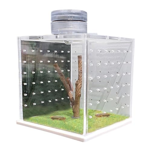 Lizard Cages, Clear Frog Tank Enclosure, 3.15x2.56x2.56in Feeding and Breeding Box with Light Humidifier, Reptile Habitat for Small Tree-Dwelling Reptiles, Amphibians, and Spiders von Generisch