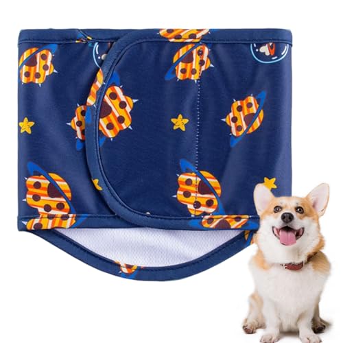 Männliche Hundwindeln - Effizienz waschbarer männlicher Hund Bauch Wrap | Langlebige wasserdichte wiederverwendbare Haustierhosen | Markieren des Töpfchen -Trainings -Bauchwicks für kleine Hunde, idea Männliche Hundwindeln - Effizienz waschbarer männlicher Hund Bauch Wrap | Langlebige wasserdichte wiederverwendbare Haustierhosen | Markieren des Töpfchen -Trainings -Bauchwicks für kleine Hunde, idea von Generisch