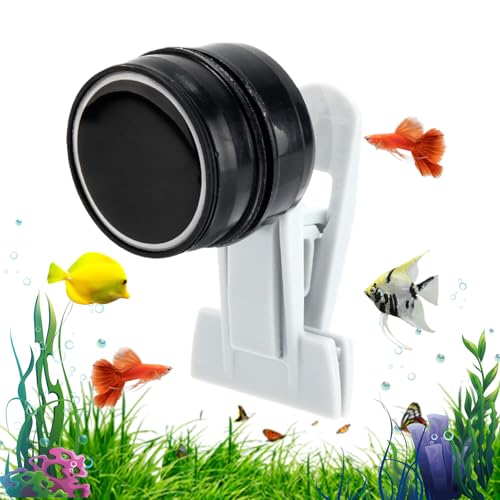 Magnetischer Algenclip,Tragbarer Magnetischer Aquarium Futterautomat | Kompakter Magnetfutterhalter Für Schildkröten Meerwasser Süßwasser Betta Magnetischer Algenclip,Tragbarer Magnetischer Aquarium Futterautomat | Kompakter Magnetfutterhalter Für Schildkröten Meerwasser Süßwasser Betta von Generisch