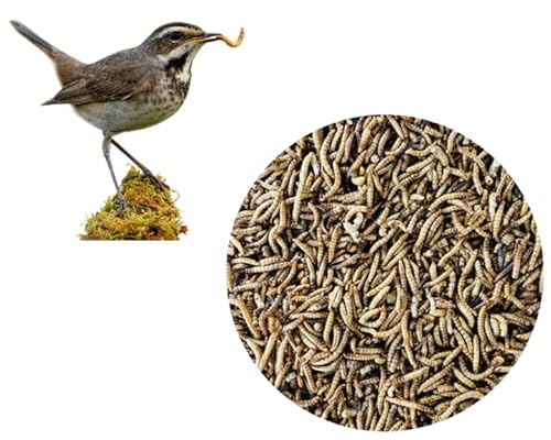 Mehlwürmer getrocknet 10 kg für Fische Nager Vögel und Reptilien, Igelfutter, Wildvogelfutter, getrocknete Würmer als proteinreicher Insektensnack von Generisch