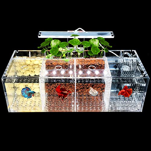 Mini-Kampffisch-Aquarium für den Schreibtisch, mit LED-Lichtern und Wasserpumpe, Acrylmaterial, Selbstzirkulation, für kranke Fische, Isolationsraum, ideal für kleine Räume (4 Gitter) von Generisch