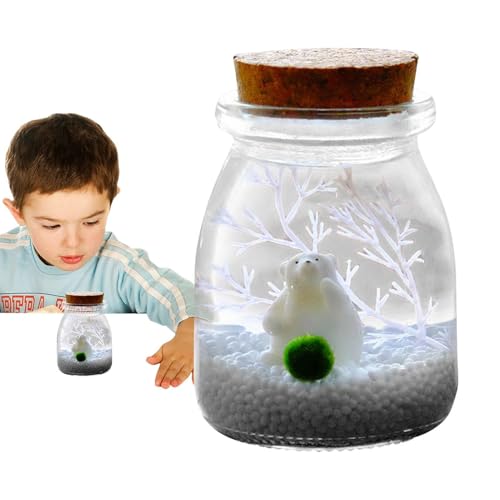 Mini-Landschaftsflasche, Mini-Landschaftsflasche aus ökologischem Glas - Terrarienbehälter mit Licht,Kreative Glasvasen als Mittelstücke für Terrarium-Miniaturen von Generisch