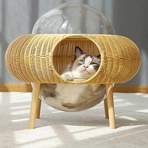 - Modernes und langlebiges Rattan-Katzenbett für kleine Haustiere – abnehmbar und waschbar – niedliches Design für gemütliche Nickerchen – für die Erholung und Entspannung der Katze von Generisch