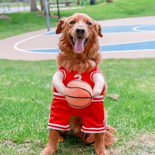 New Trend Hunde-Basketballspieler-Kostüm mit Ball, Halloween, Cosplay, für kleine K9a2 mittelgroße Hunde von Generisch