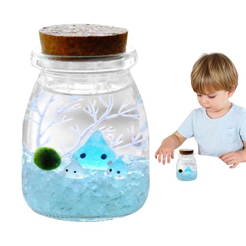 Ökologische Glas-Mini-Landschaftsflasche,Ökologische Kultur-Mini-Landschaft,Terrariumbehälter Öko-Flasche Glasornament - Kreative Glasvasen als Mittelstücke für Terrarium-Miniaturen von Generisch