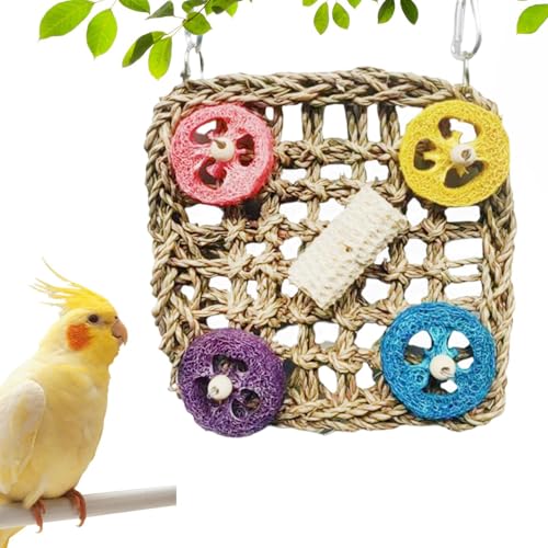 Papageienspielzeug - Bunte Futtersuche-Spielzeuge Für Vögel | Kleintierzubehör Für Käfig Spielplatz Futtersuche Training Innenkäfig Außenvoliere Zuhause Papageienspielzeug - Bunte Futtersuche-Spielzeuge Für Vögel | Kleintierzubehör Für Käfig Spielplatz Futtersuche Training Innenkäfig Außenvoliere Zuhause von Generisch